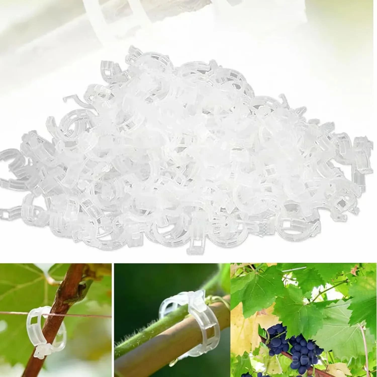 100-Pack Plastic Tomato Trellis Clips for Plant Support - Main