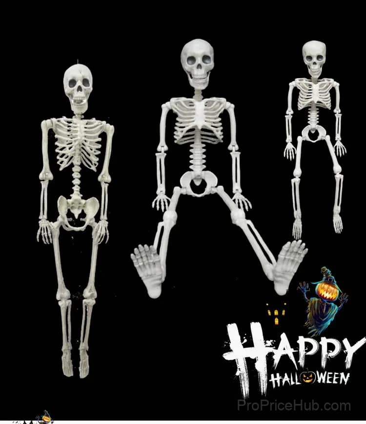 Poseable Hanging Human Skeleton Halloween Party Prop - Main