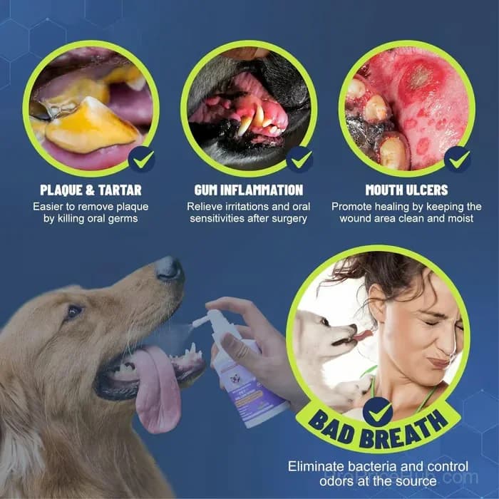 Teeth Cleaning Spray for Dogs & Cats, 50ml - View 4