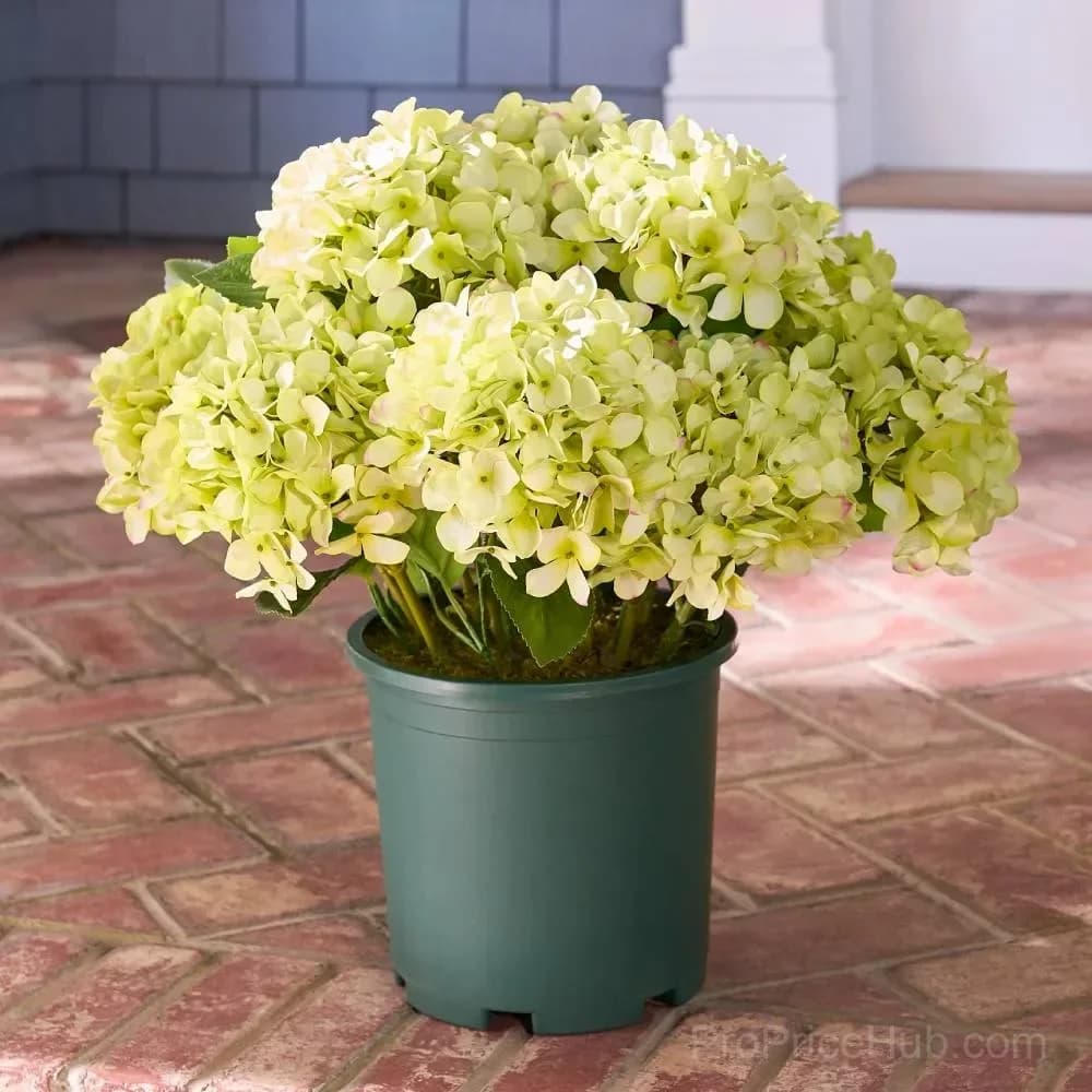 Artificial Outdoor Hydrangea Flowers - UV Resistant, Waterproof, Windproof - View 12