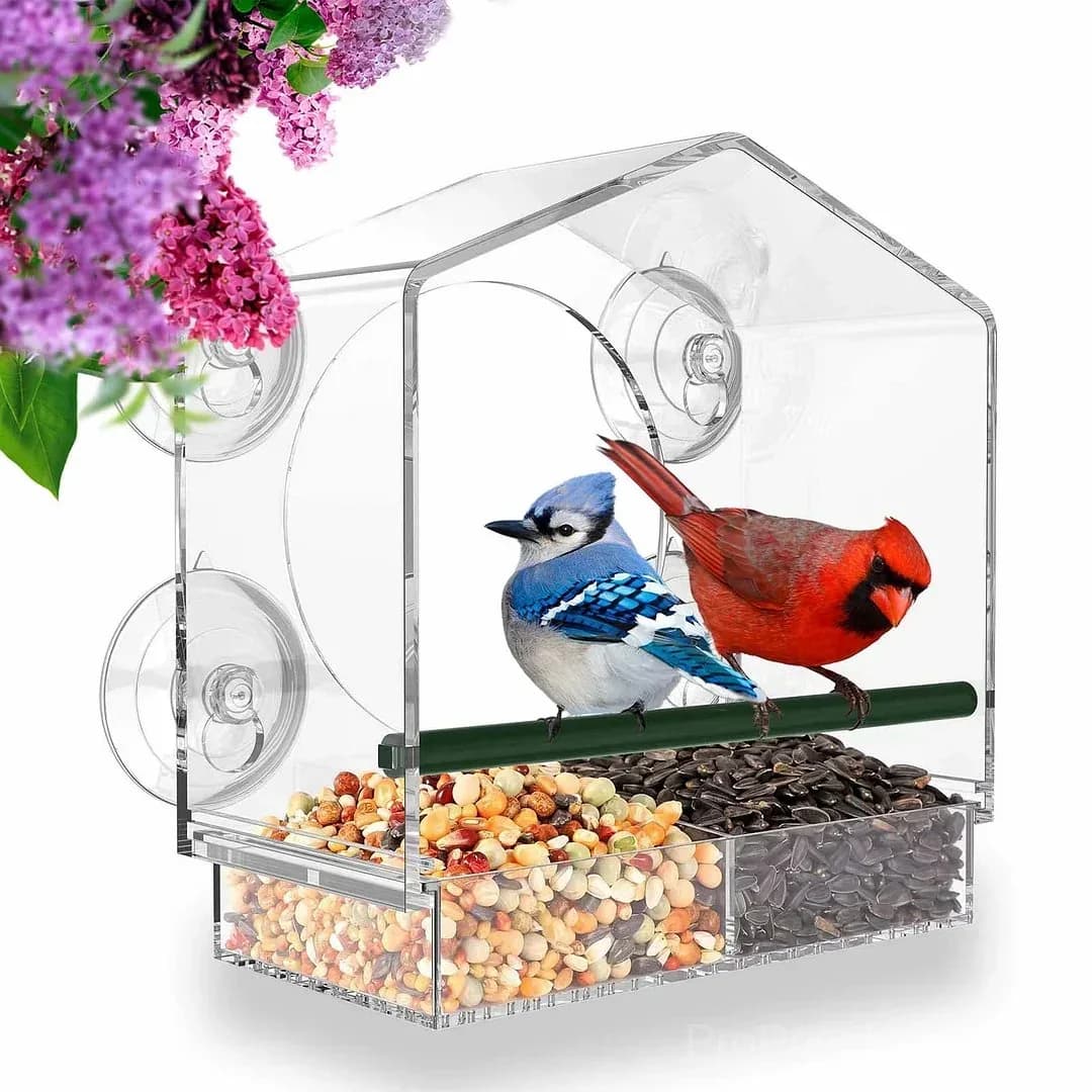Outdoor Window Bird Feeder - Main