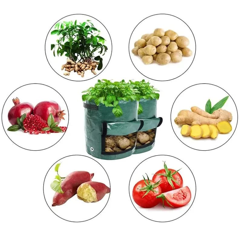 50L Large Capacity Potato Grow Planter Bag - PE Container for Vegetables, Garden Outdoor - View 12