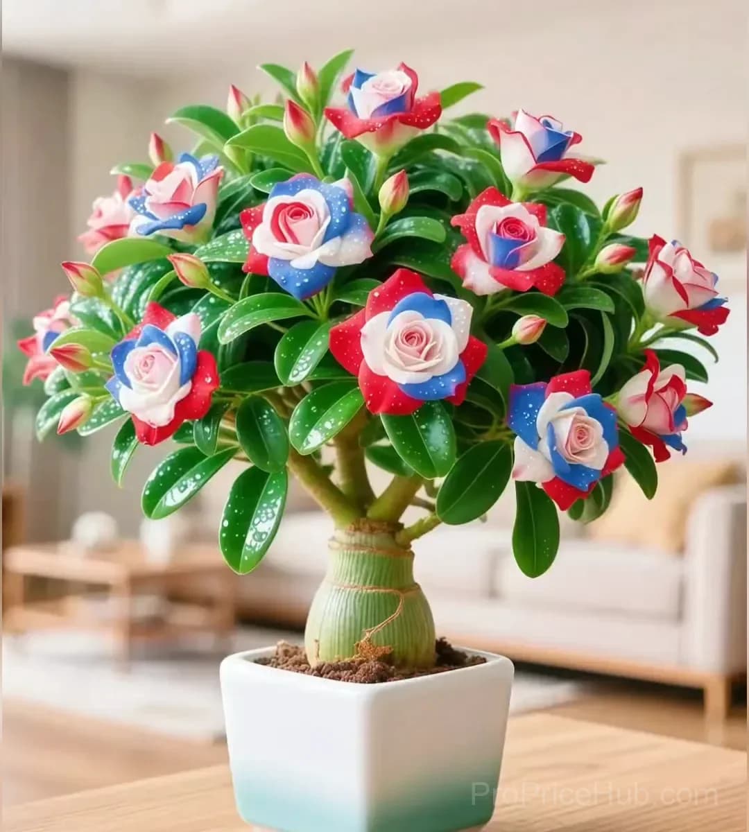 Desert Rose Bulbs - Exotic Flowering Plant for Garden - View 5