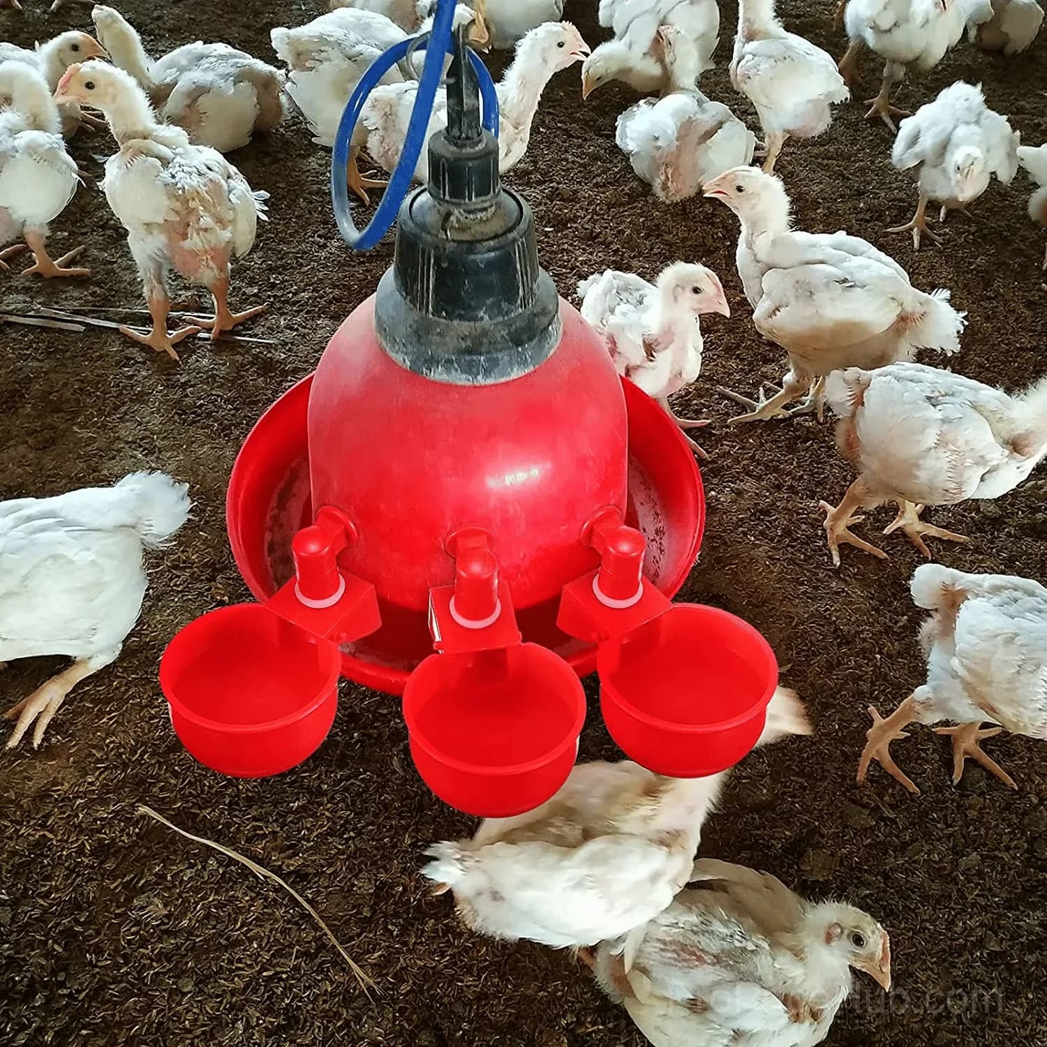 18-Piece Automatic Poultry Drinking Bowl Set - Main