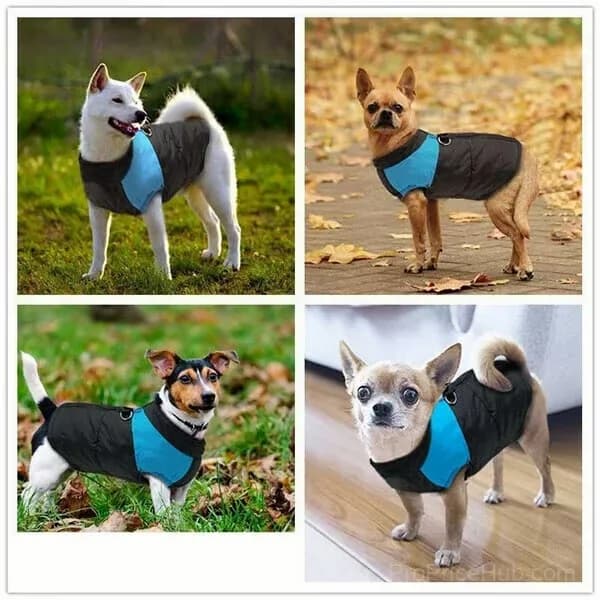 Winter Warm Waterproof Dog Vest with Zipper, Blue, Size S - View 12