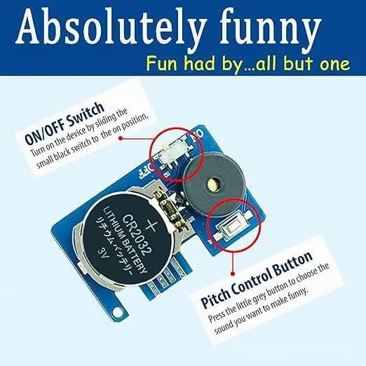 Invisible Cricket Prank Device - Realistic Sound Effect - Main
