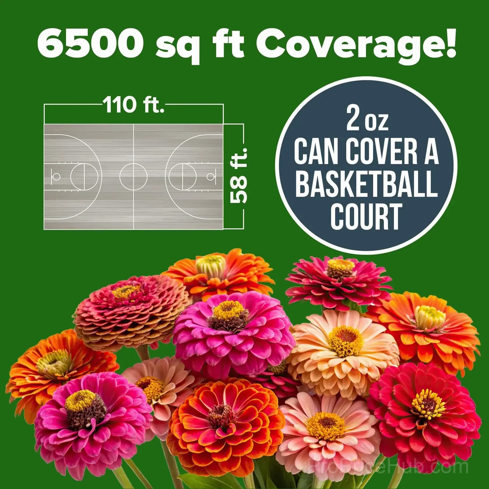 Zinnia Flower Seeds for Planting - Alt