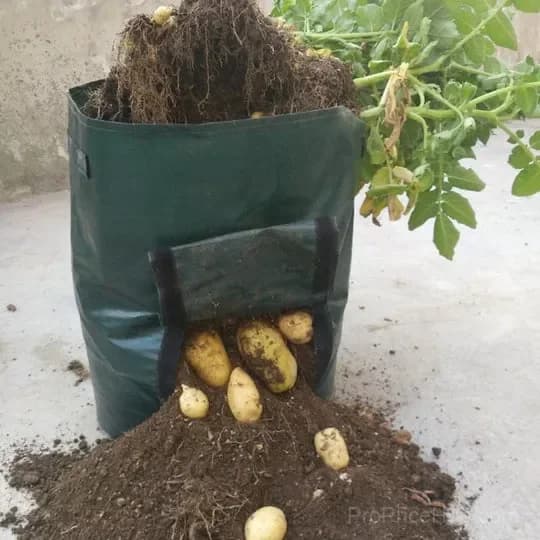50L Large Capacity Potato Grow Planter Bag - PE Container for Vegetables, Garden Outdoor - Alt
