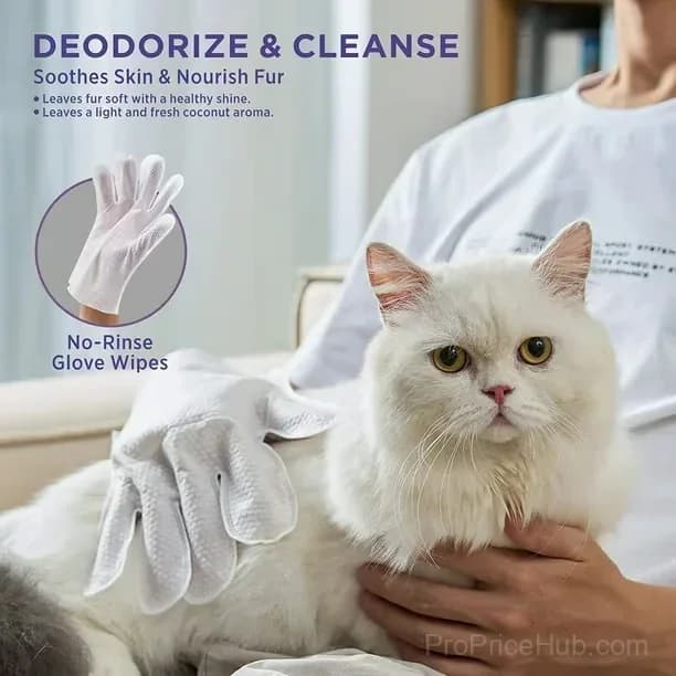 Deodorizing Pet Glove Wipes for Dogs, 6 Count - Alt