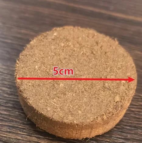 Organic Coconut Coir Bricks for Plants, 5 x 1.5 cm - Main