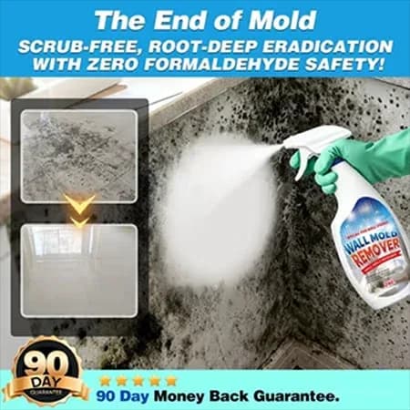 Fast-Acting Anti-Mold Wall Cleaner Spray for Home - Main