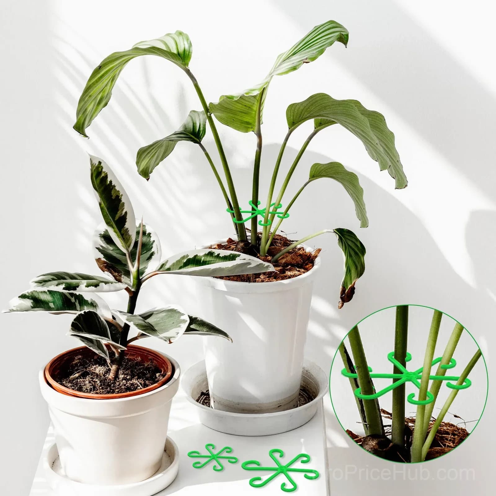 Black Plant Stem Support Set, 1 Set Garden Plant Supports - Alt