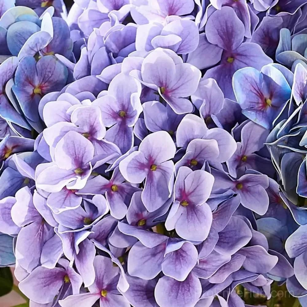 Artificial Outdoor Hydrangea Flowers - UV Resistant, Waterproof, Windproof - Alt
