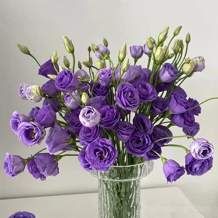 Eustoma Thornless Rose Lisianthus Seeds - 7 Day Germination - View 39