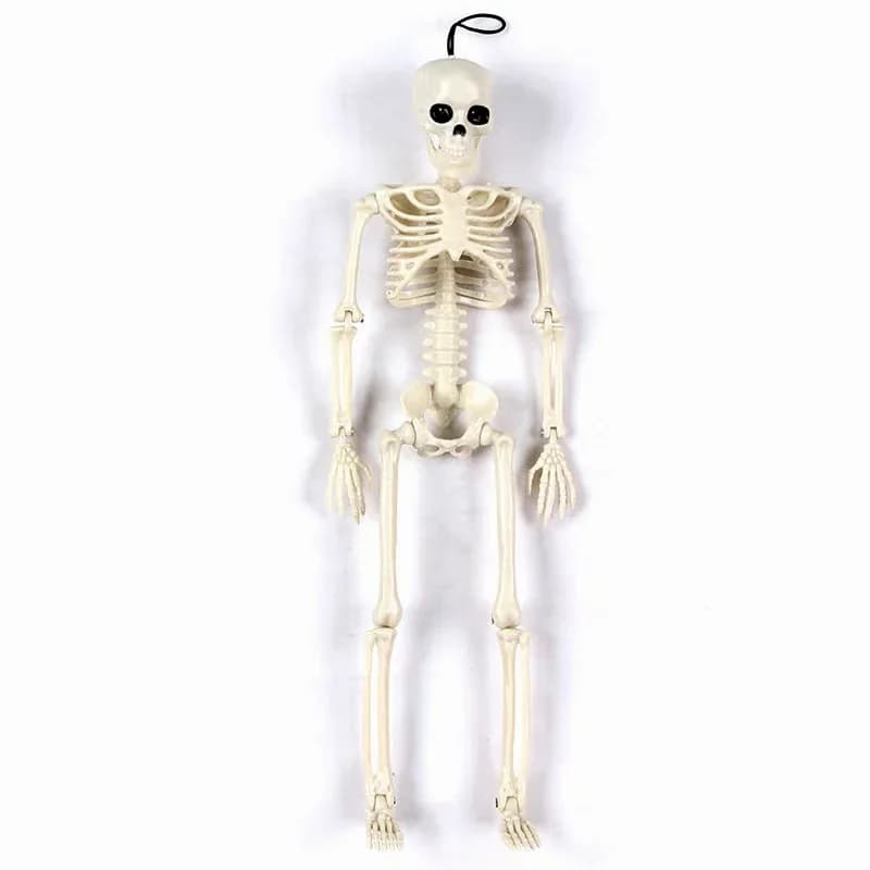Poseable Hanging Human Skeleton Halloween Party Prop - View 5