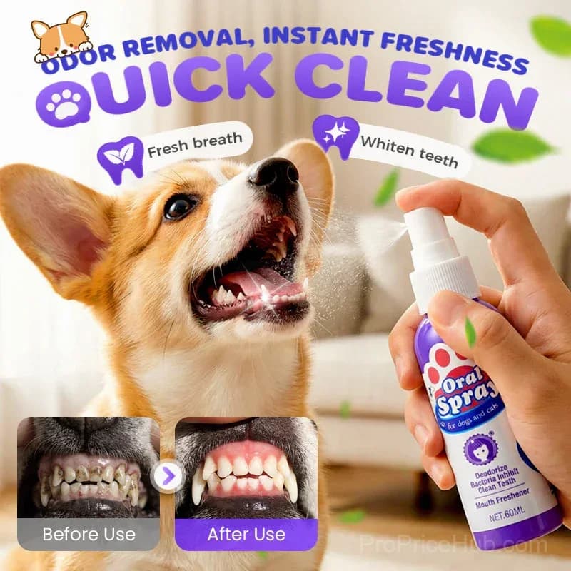 Pet Teeth Cleaning Spray – Fresh Breath & Plaque Control - Main