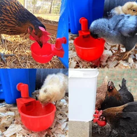 18-Piece Automatic Poultry Drinking Bowl Set - View 4