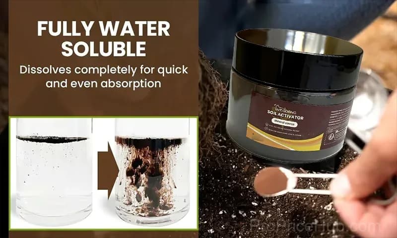 Soil Pro Activator – Garden Soil Amendment - View 12