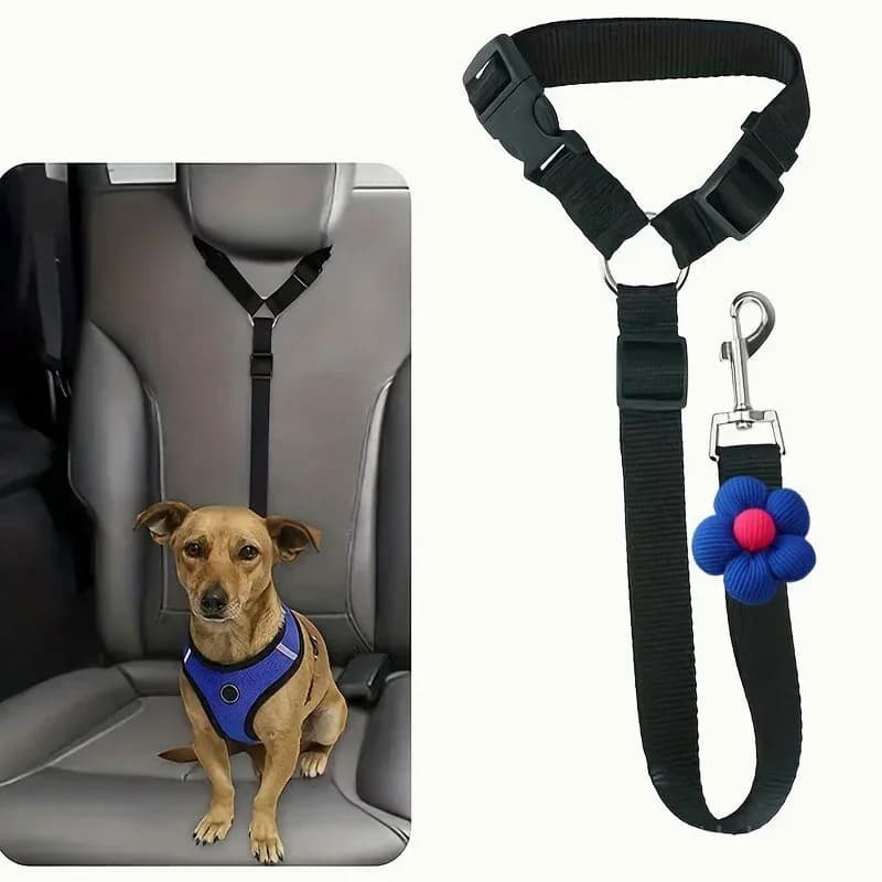 2-in-1 Dog Seatbelt and Leash - Main