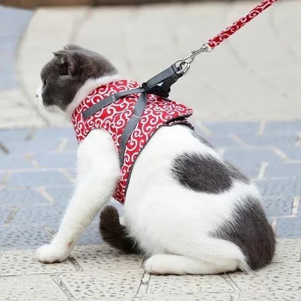 Pet Vest Harness and Leash Set, Green, Adult Cat - Alt