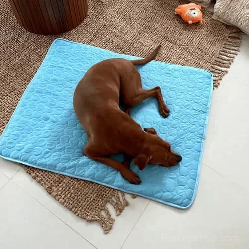 Pet Cooling Mat for Dogs and Cats, Blue XS 40 x 30 cm - View 2