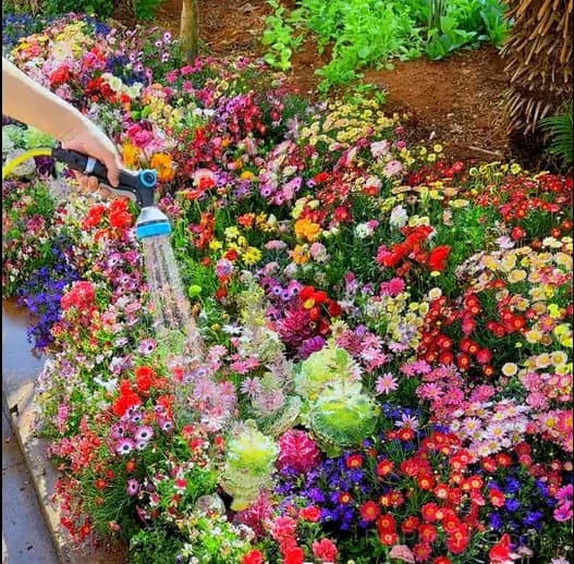 All-Season Mixed Perennial Flower Seeds – 90+ Varieties for Continuous Blooms - Alt
