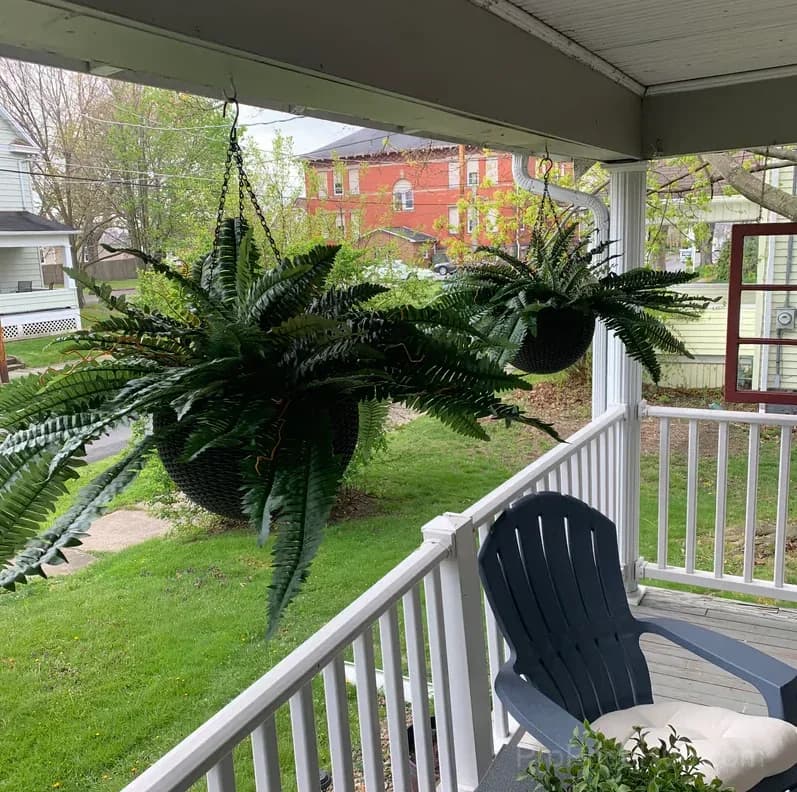UV Resistant Lifelike Artificial Boston Fern - View 8