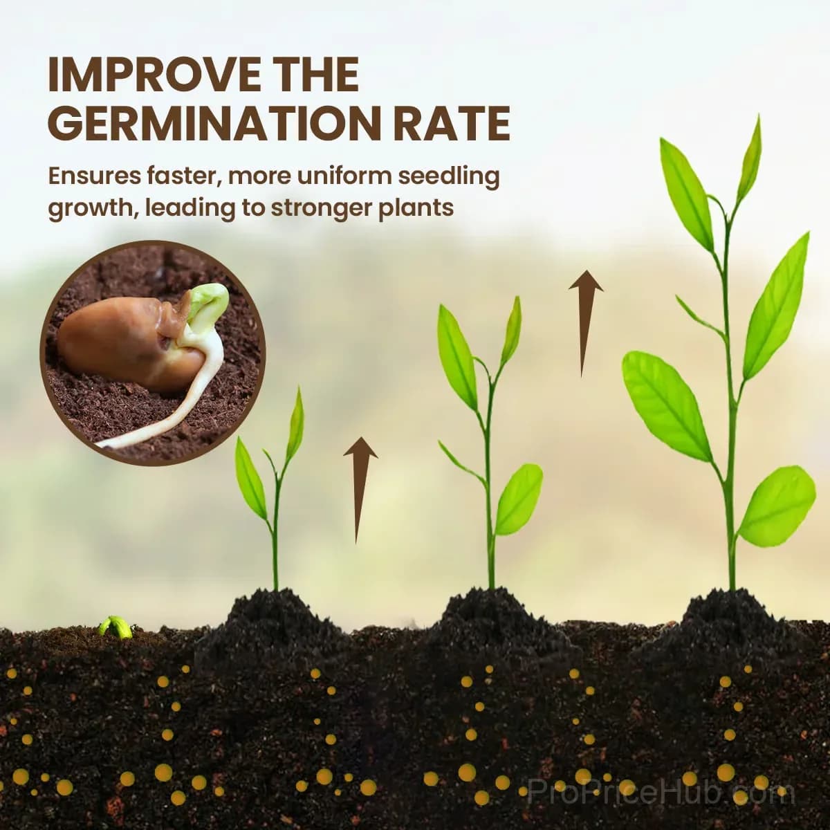Soil Pro Activator – Garden Soil Amendment - Alt