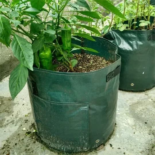 50L Large Capacity Potato Grow Planter Bag - PE Container for Vegetables, Garden Outdoor - View 6