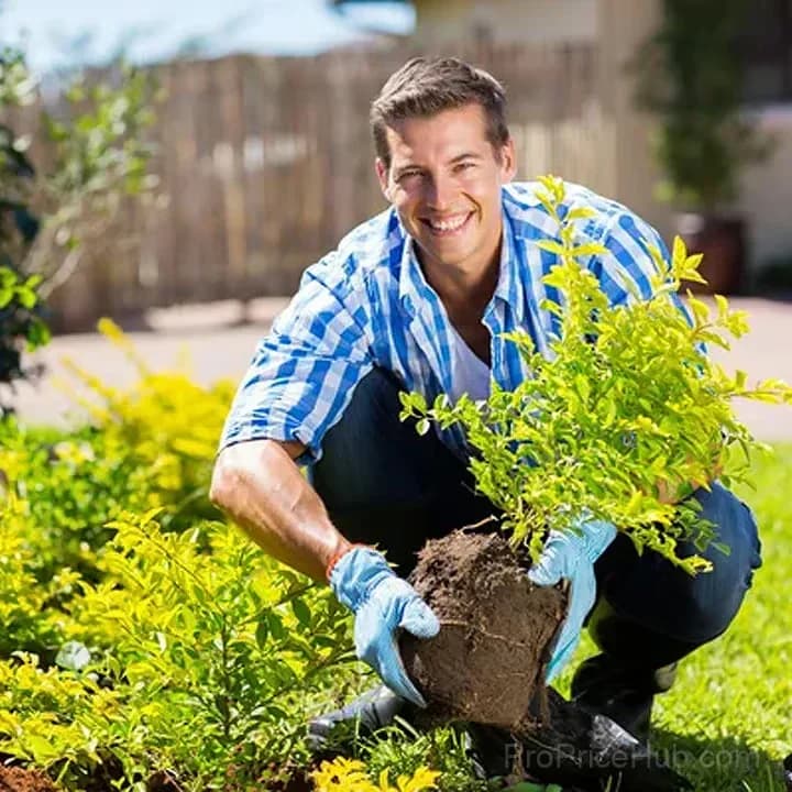 Soil Pro Activator – Garden Soil Amendment - View 6