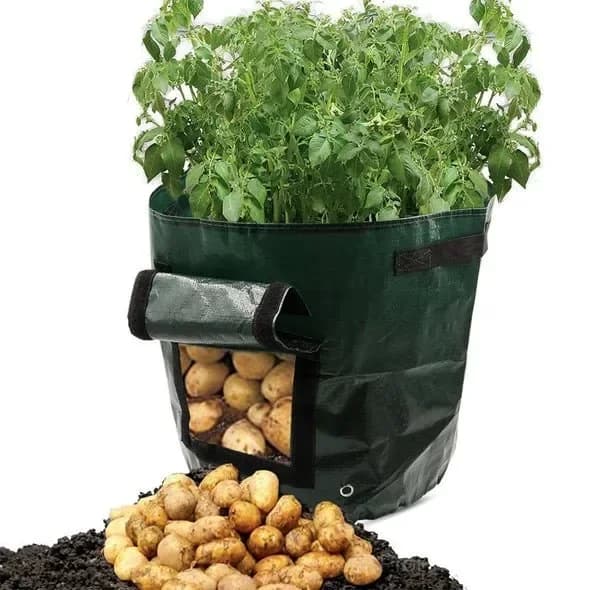 50L Large Capacity Potato Grow Planter Bag - PE Container for Vegetables, Garden Outdoor - Main