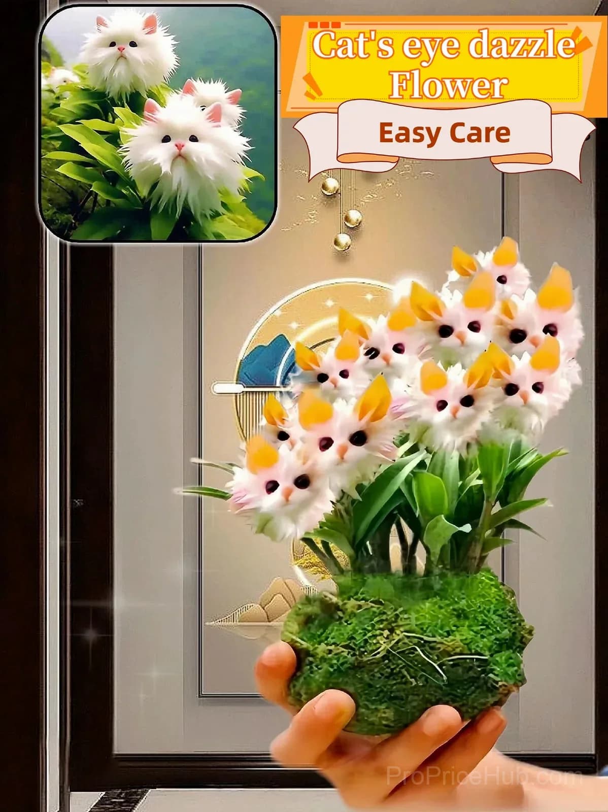 Dazzling Cat's Eye Seeds - Alt