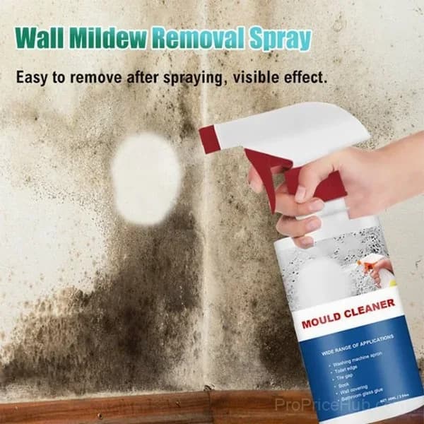 Mildew Cleaner Foam - Heavy-Duty Cleaning Spray - Main
