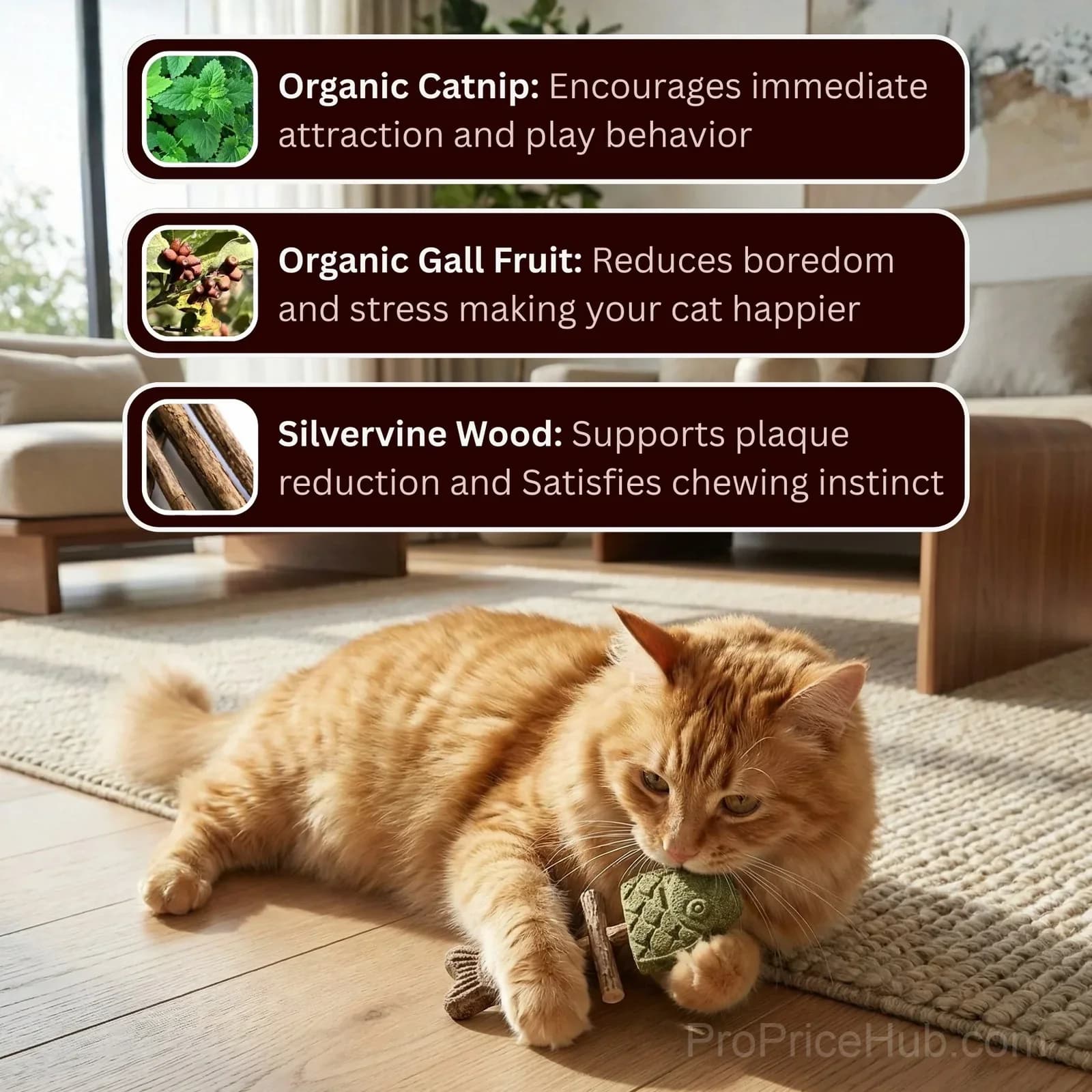 Catnip & Silvervine Chew for Cats - View 4