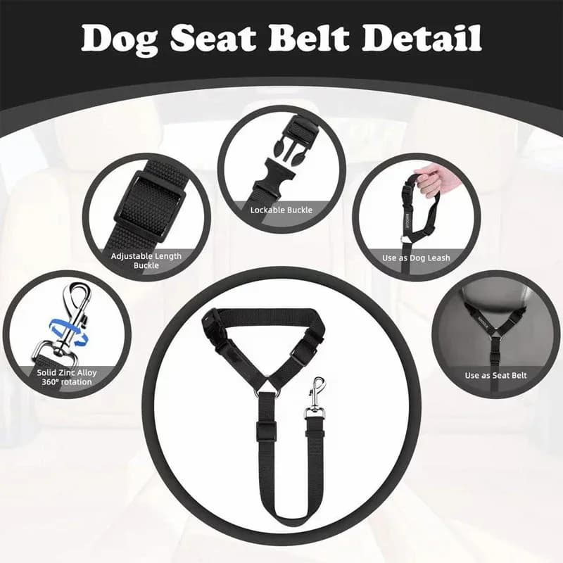 2-in-1 Dog Seatbelt and Leash - Alt