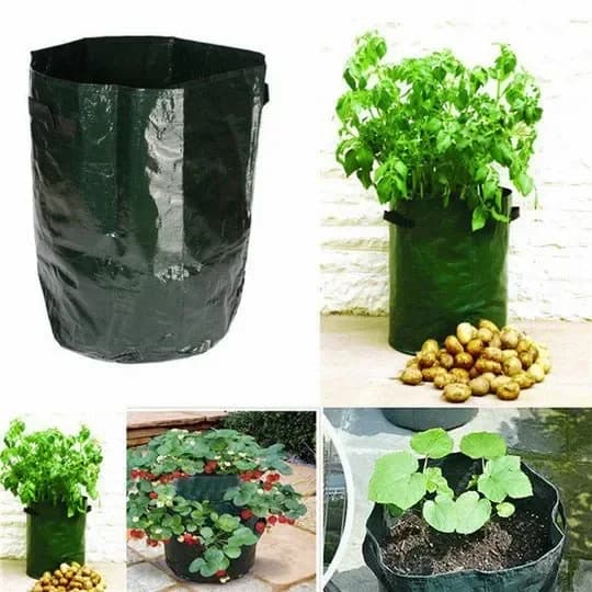50L Large Capacity Potato Grow Planter Bag - PE Container for Vegetables, Garden Outdoor - View 11