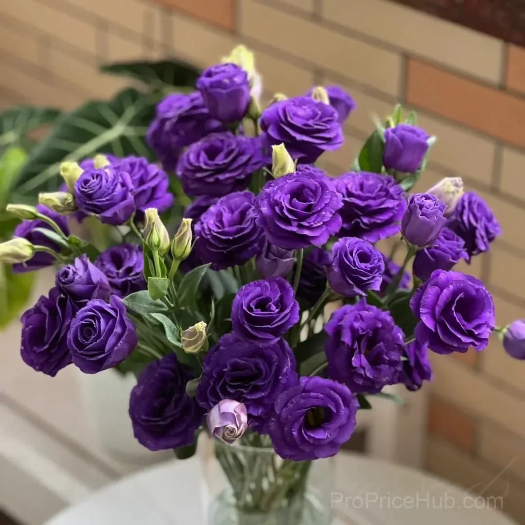 Eustoma Thornless Rose Lisianthus Seeds - 7 Day Germination - View 4
