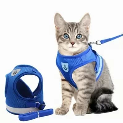 Adjustable Breathable Luminous Cat Harness, Blue XS (Under 3.3 lb) - Main