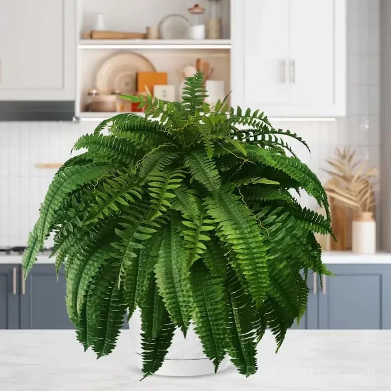 UV Resistant Lifelike Artificial Boston Fern - View 11