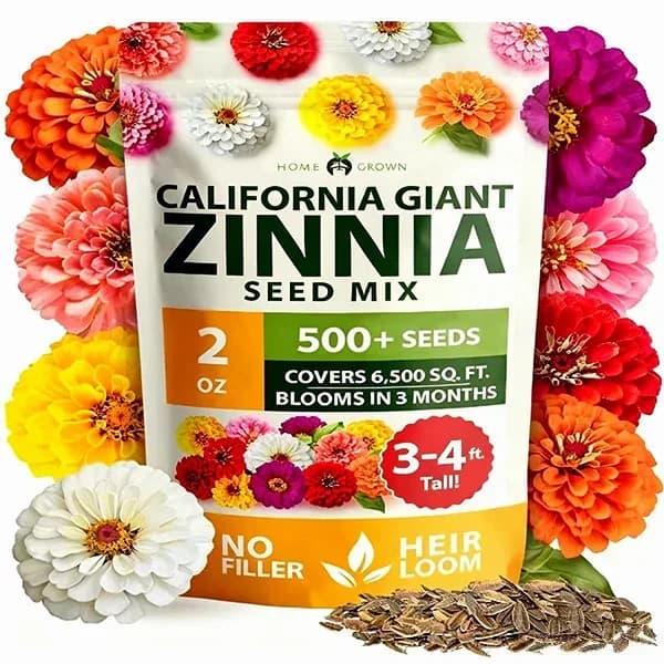 Zinnia Flower Seeds for Planting - Main