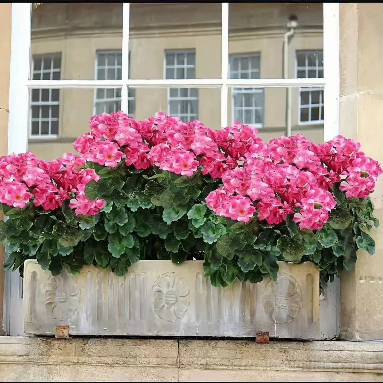 Artificial Geranium Flowers for Outdoors - View 7