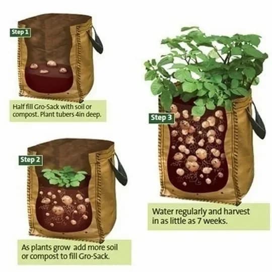 50L Large Capacity Potato Grow Planter Bag - PE Container for Vegetables, Garden Outdoor - View 10