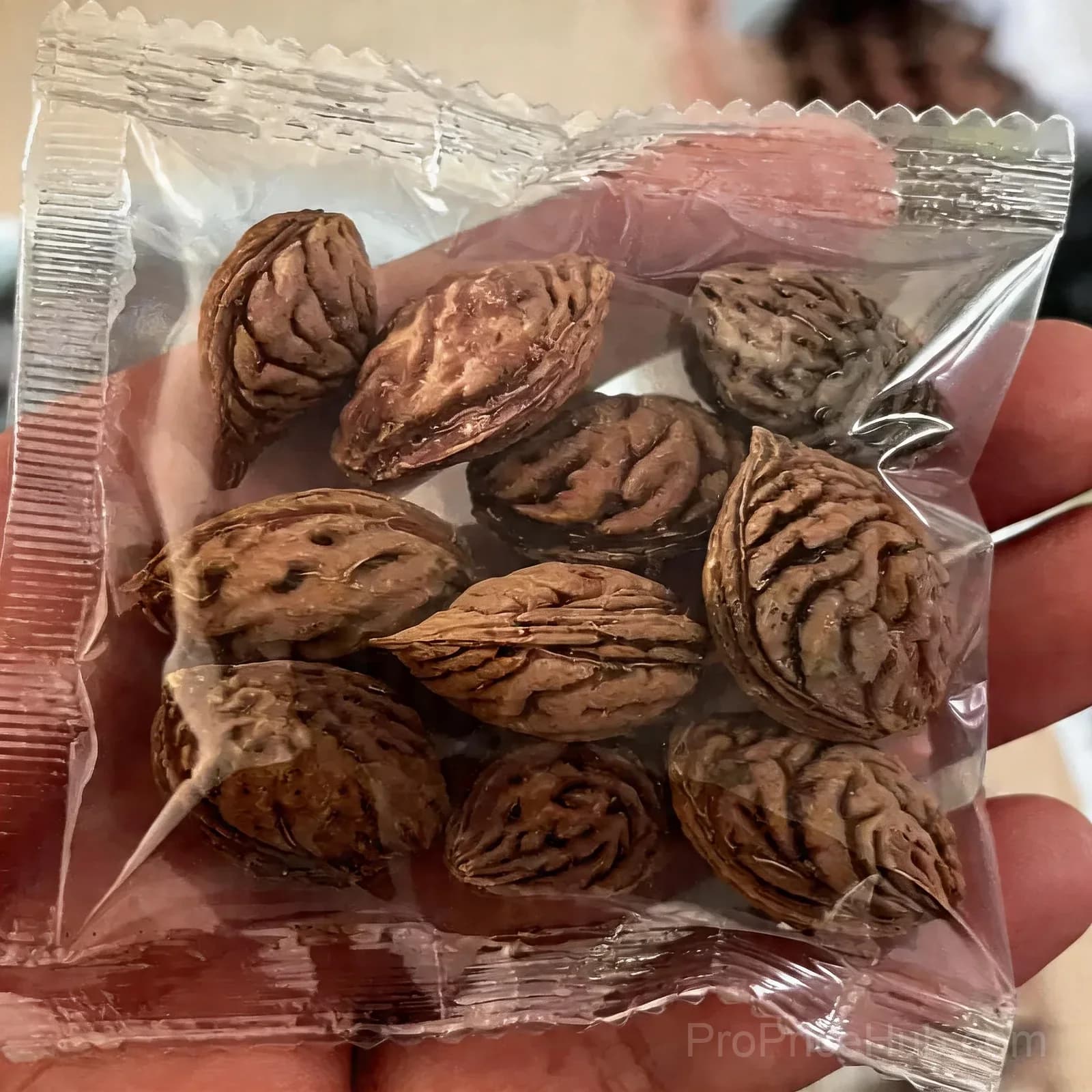 Heirloom Honey Red Dwarf Peach Tree Live Seeds - View 6