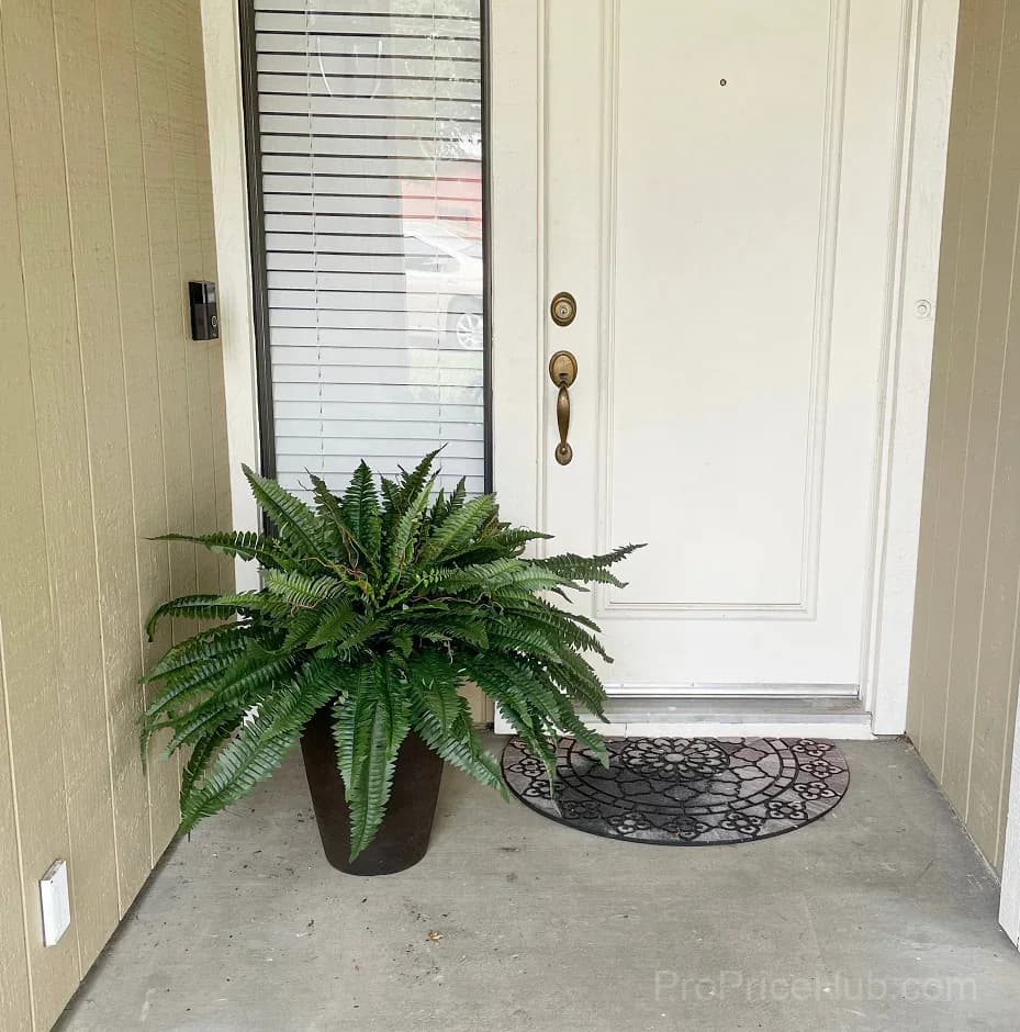 UV Resistant Lifelike Artificial Boston Fern - View 7