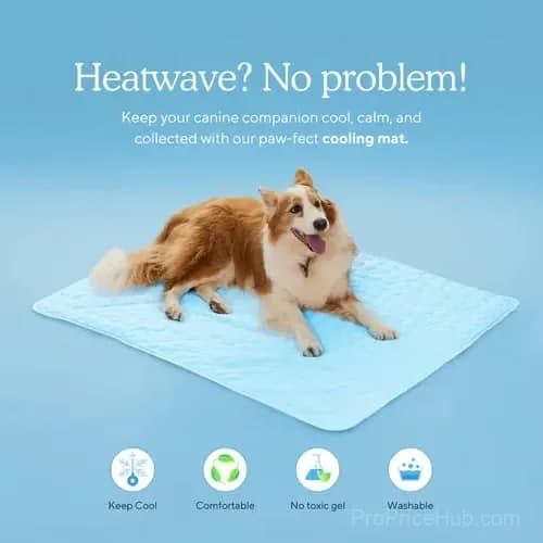 Pet Cooling Mat for Dogs and Cats, Blue XS 40 x 30 cm - View 5