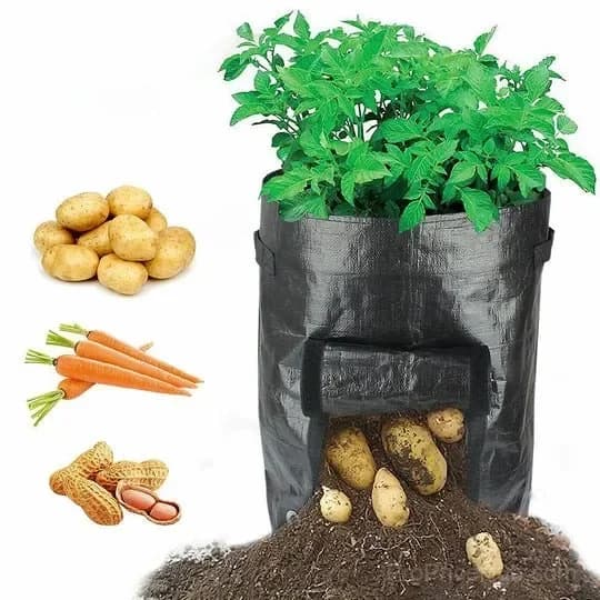 50L Large Capacity Potato Grow Planter Bag - PE Container for Vegetables, Garden Outdoor - View 3