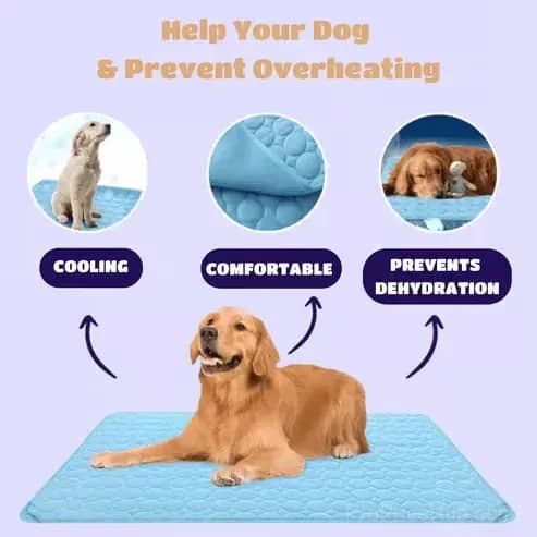 Pet Cooling Mat for Dogs and Cats, Blue XS 40 x 30 cm - View 9