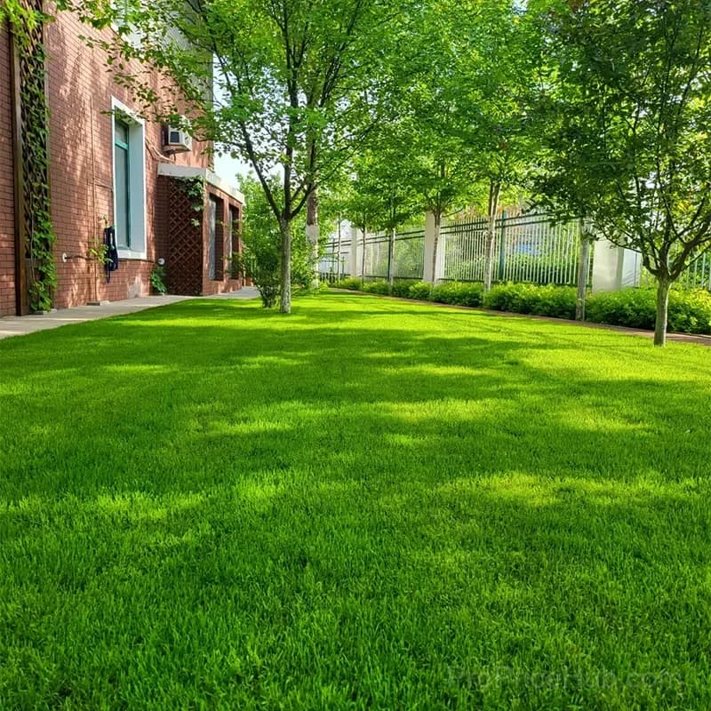 2026 Four Seasons Evergreen Grass Seed - Durable, Vibrant Green All Year - Alt