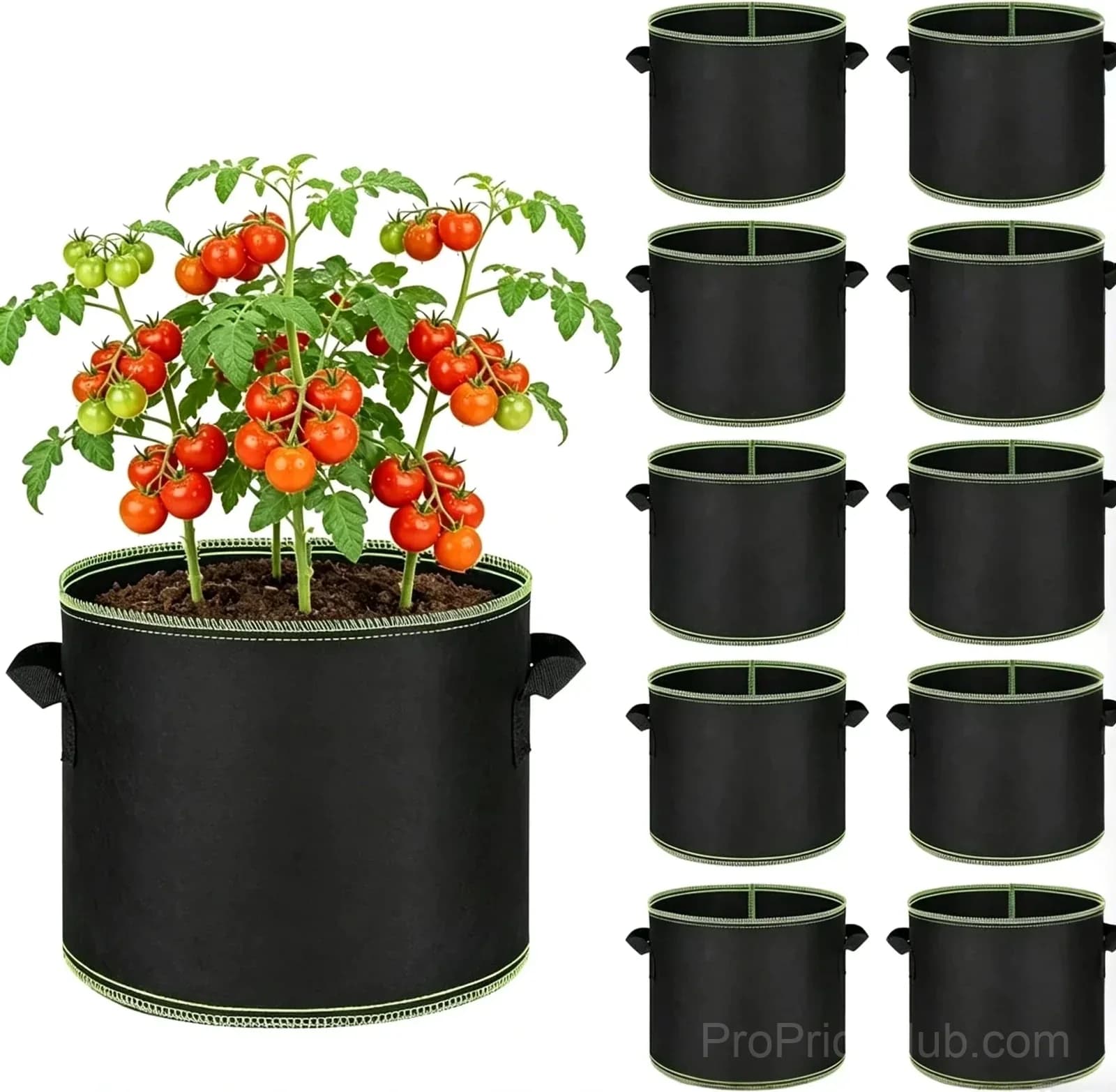 Heavy-Duty Breathable 5-Gallon Grow Bags, 12 x 10 in, 5-Pack - Alt