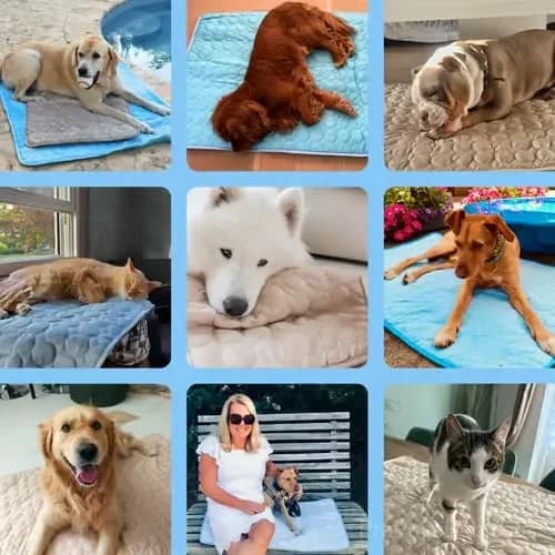 Pet Cooling Mat for Dogs and Cats, Blue XS 40 x 30 cm - Alt